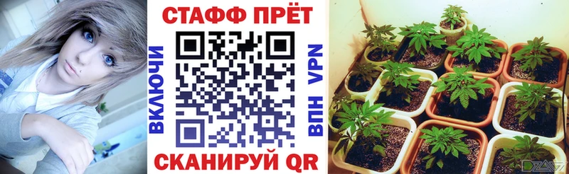 Что такое Заринск COCAIN Альфа ПВП Меф мяу мяу ГАШ Канабис