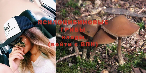 скорость Абаза