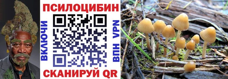 Псилоцибиновые грибы прущие грибы  Заринск 