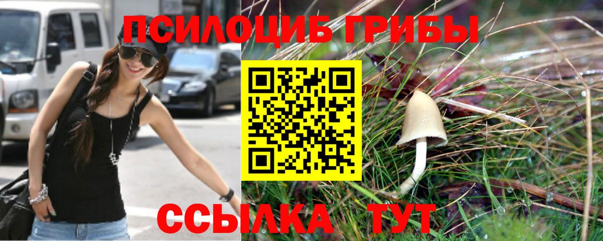 Псилоцибиновые грибы ЛСД Заринск